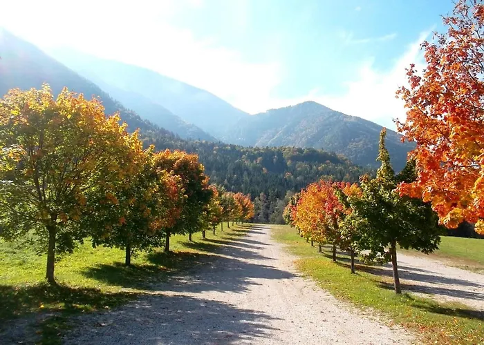 Haus Melita In Feistritz Ob Bleiburg By Interhome * Feistritz ob Bleiburg